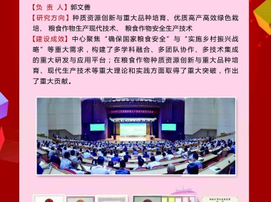 扬州助力企业转型升级，技术创新与销售服务并行