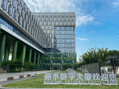 丽水专业技术咨询，赋能企业高质量发展