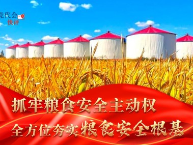 全方位安全守护指南,安全技术咨询宣传册