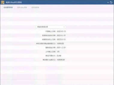2024年度技术咨询费申报攻略，流程解析与常见问题解答