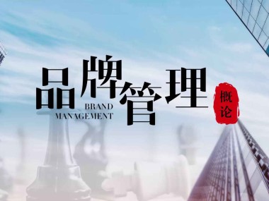 技术咨询品牌管理的核心要素与策略解析