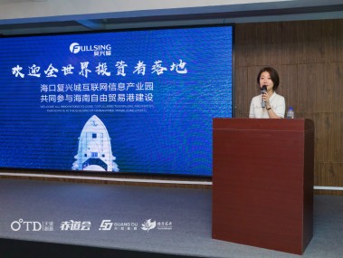 海南技术咨询助力企业转型，推动区域经济升级发展
