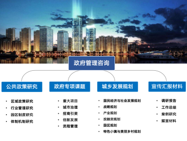 公对公技术咨询赋能，提升政府决策效能与服务品质新篇章