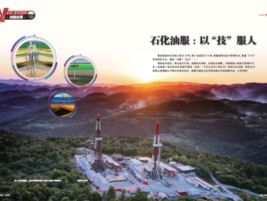 化工石油技术咨询,企业稳健发展的坚实后盾