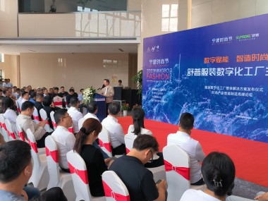 宁波企业核心竞争力提升，定制化技术咨询助力新篇章