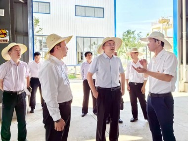 鄂州沙盘咨询，助力企业战略决策，洞悉市场动向