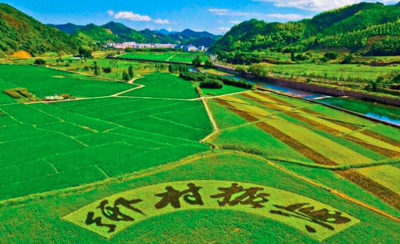 农业技术咨询，乡村振兴的智力桥梁,随着我国农业现代化步伐的加速，农业技术咨询在提升农业生产效率、确保粮食安全、助力农民增收等方面扮演着愈发关键的角色，作为推动乡村振兴战略实施的重要桥梁，农业技术咨询正逐渐成为引领农业转型升级的核心动力。,农业技术咨询,技术咨询,技术咨询服务,第1张